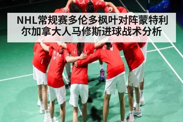 NHL常规赛多伦多枫叶对阵蒙特利尔加拿大人马修斯进球战术分析